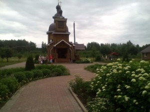 image (4)